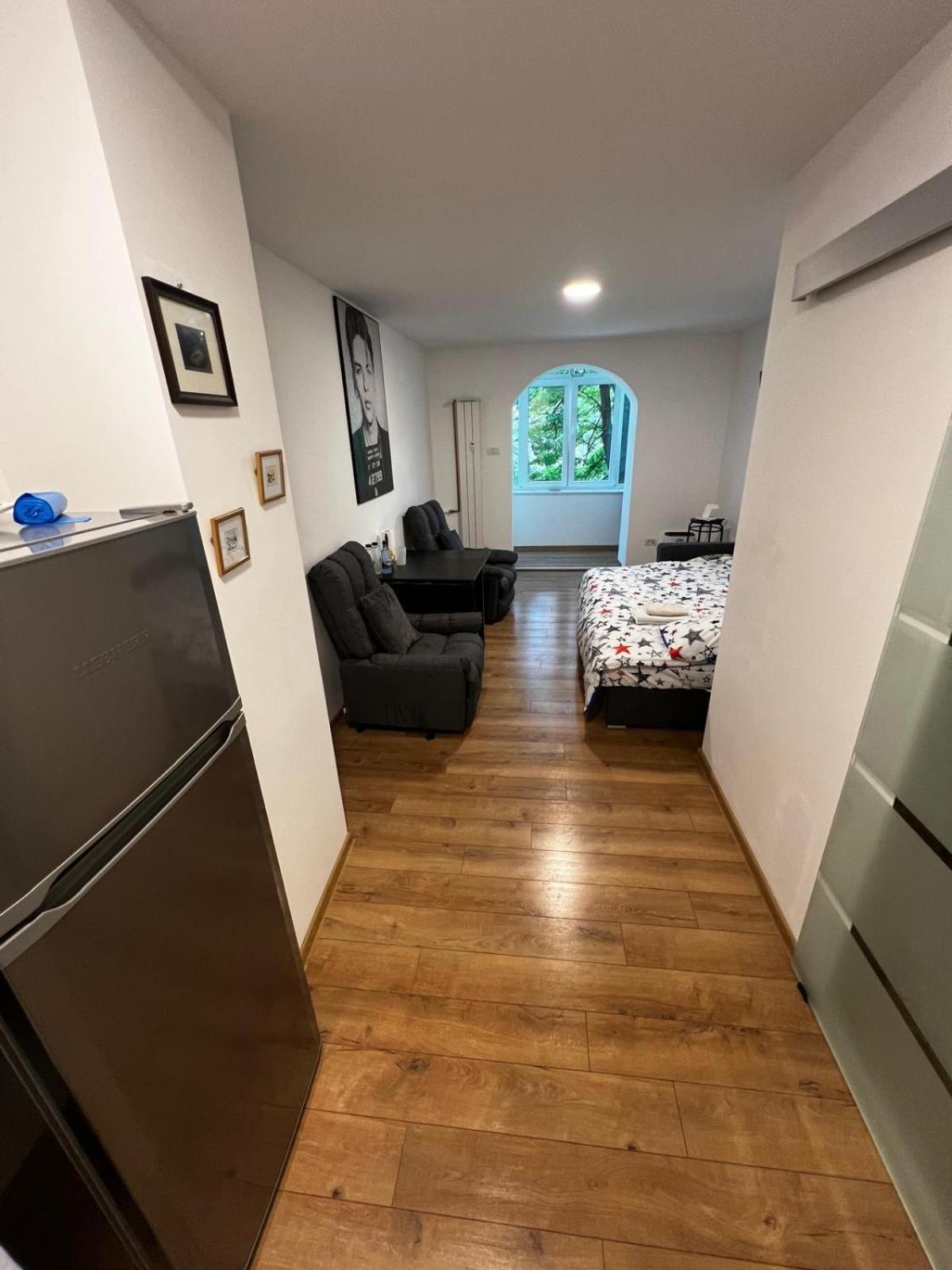Apartment Grigorescu *